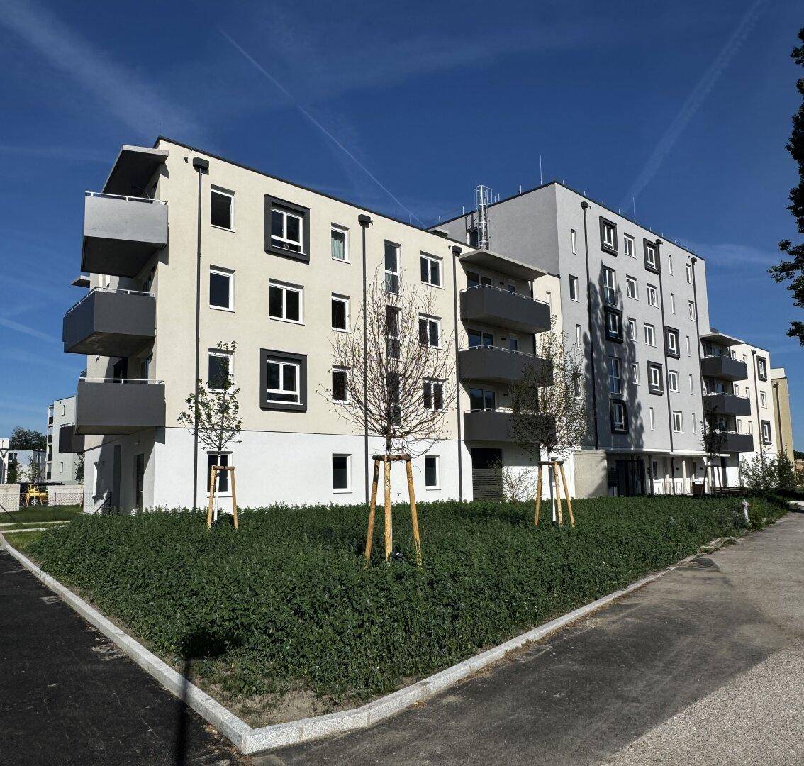 Modernes Mehrfamilienhaus mit Balkonen und gepflegter Grünanlage unter blauem Himmel.
