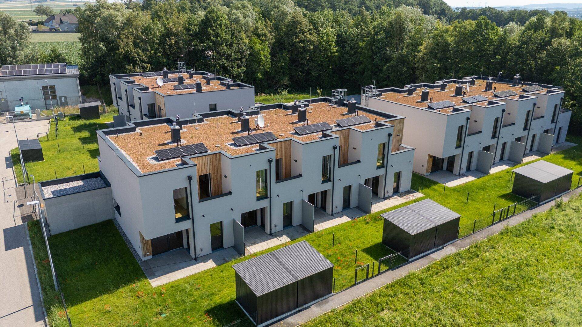 Luftaufnahme moderner Reihenhäuser mit begrünten Flachdächern und Photovoltaikanlagen.