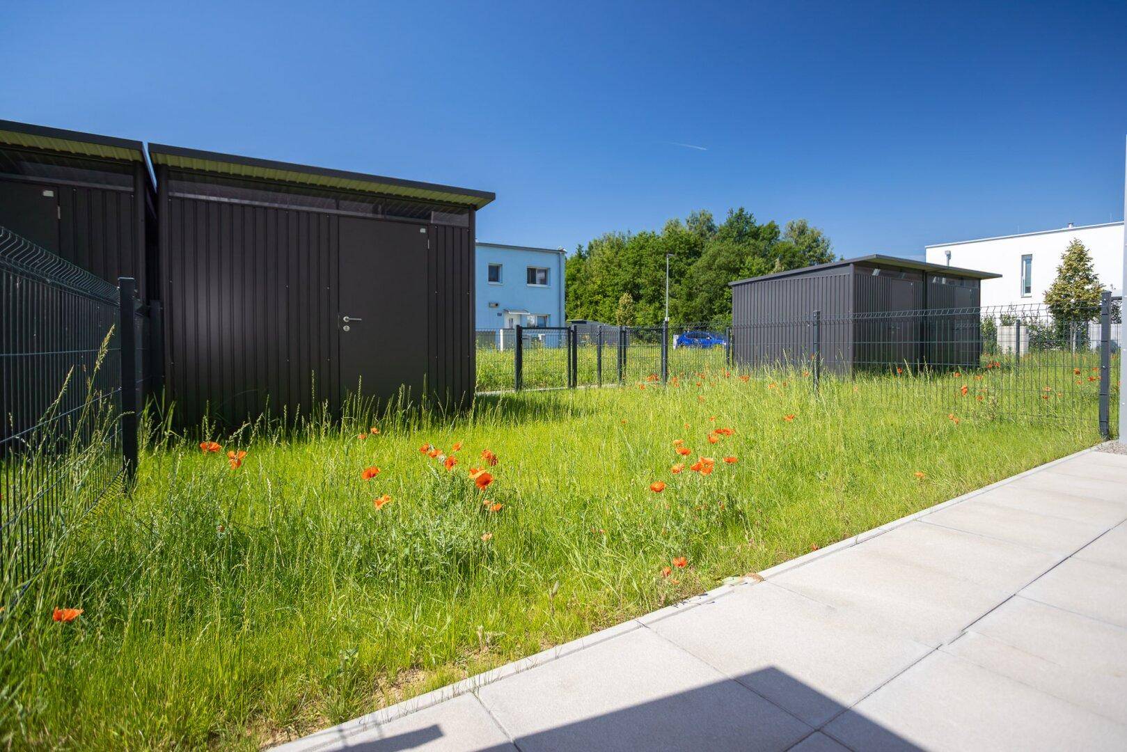 Grüner Gartenbereich mit roten Mohnblumen und zwei dunklen Gartenhäusern unter strahlend blauem Himmel.