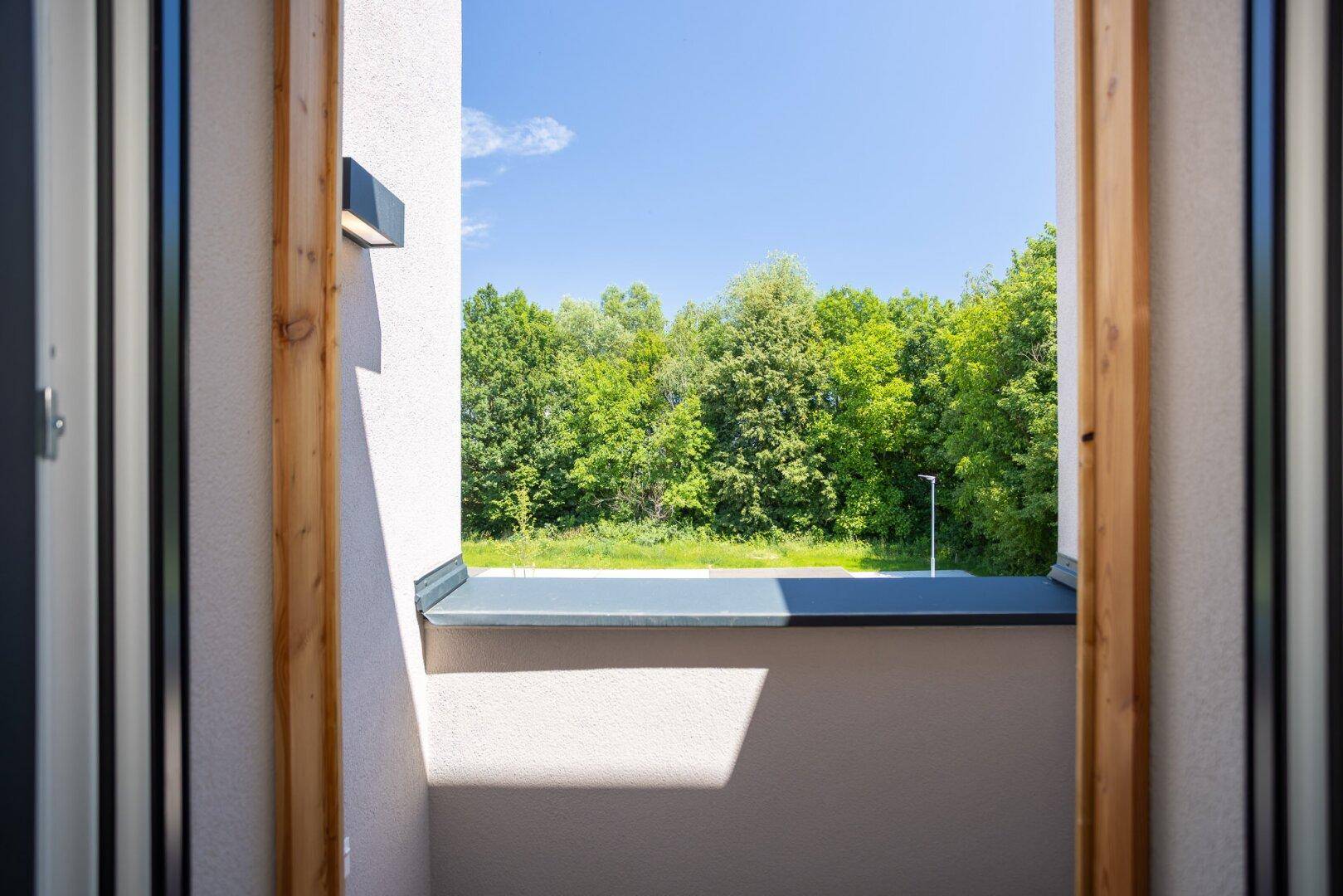 Grüner Ausblick aus dem Fenster auf Bäume und Natur.
