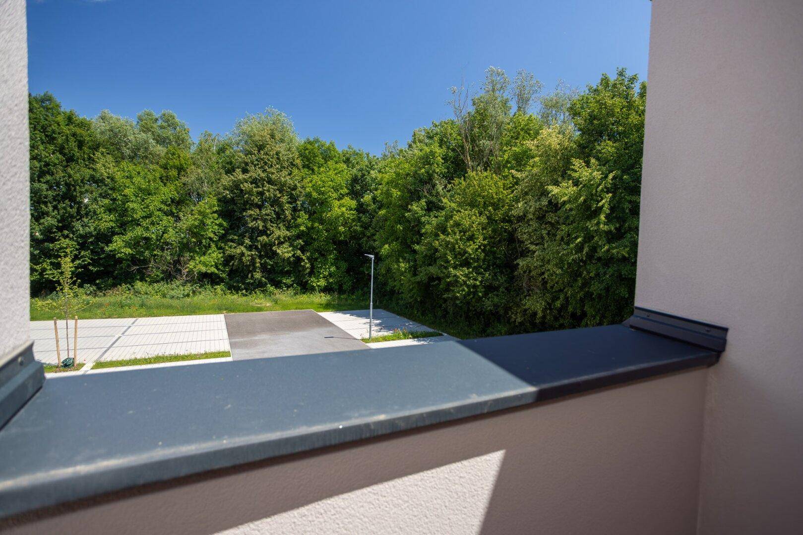 Blick ins Grüne mit Bäumen und einem Parkplatz im Vordergrund.
