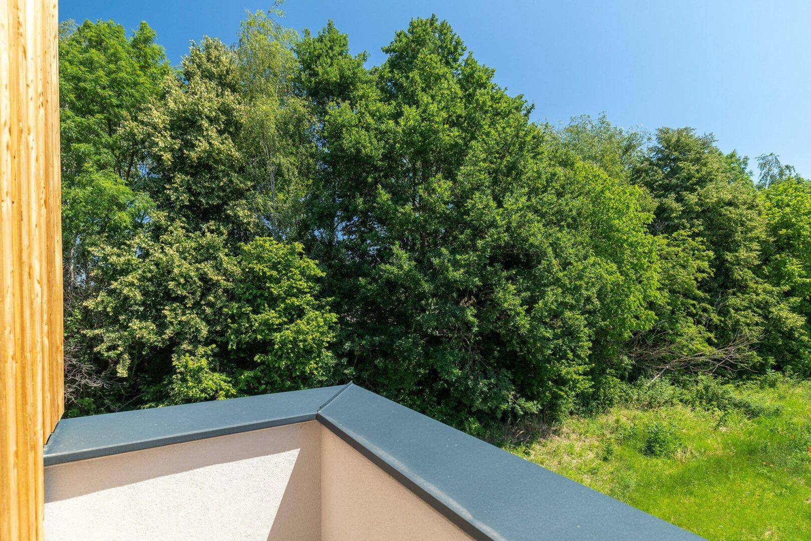 Blick von einem Balkon auf üppiges Grün und Bäume unter strahlend blauem Himmel.