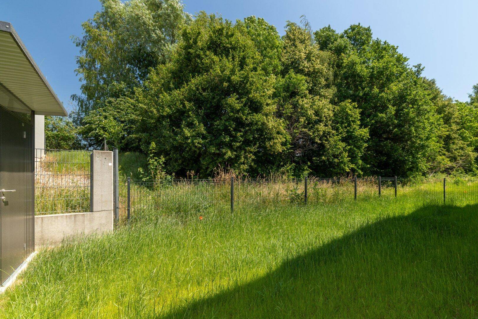 Blick auf eine grüne, naturbelassene Fläche mit Zaun und Bäumen im Hintergrund.