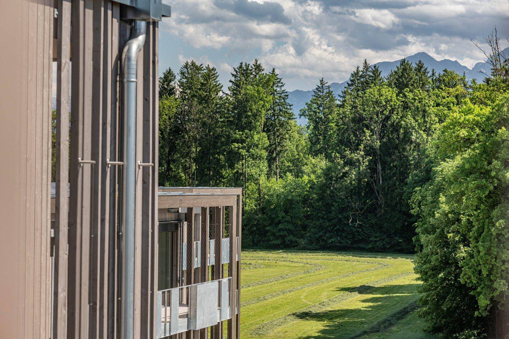 Blick von einem Gebäude auf eine weite grüne Landschaft mit Wald und Bergen unter bewölktem Himmel.