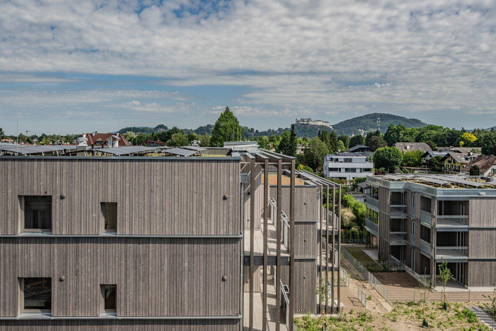 Dachansicht moderner Wohngebäude mit Holzfassaden und Photovoltaikanlagen auf den Dächern.