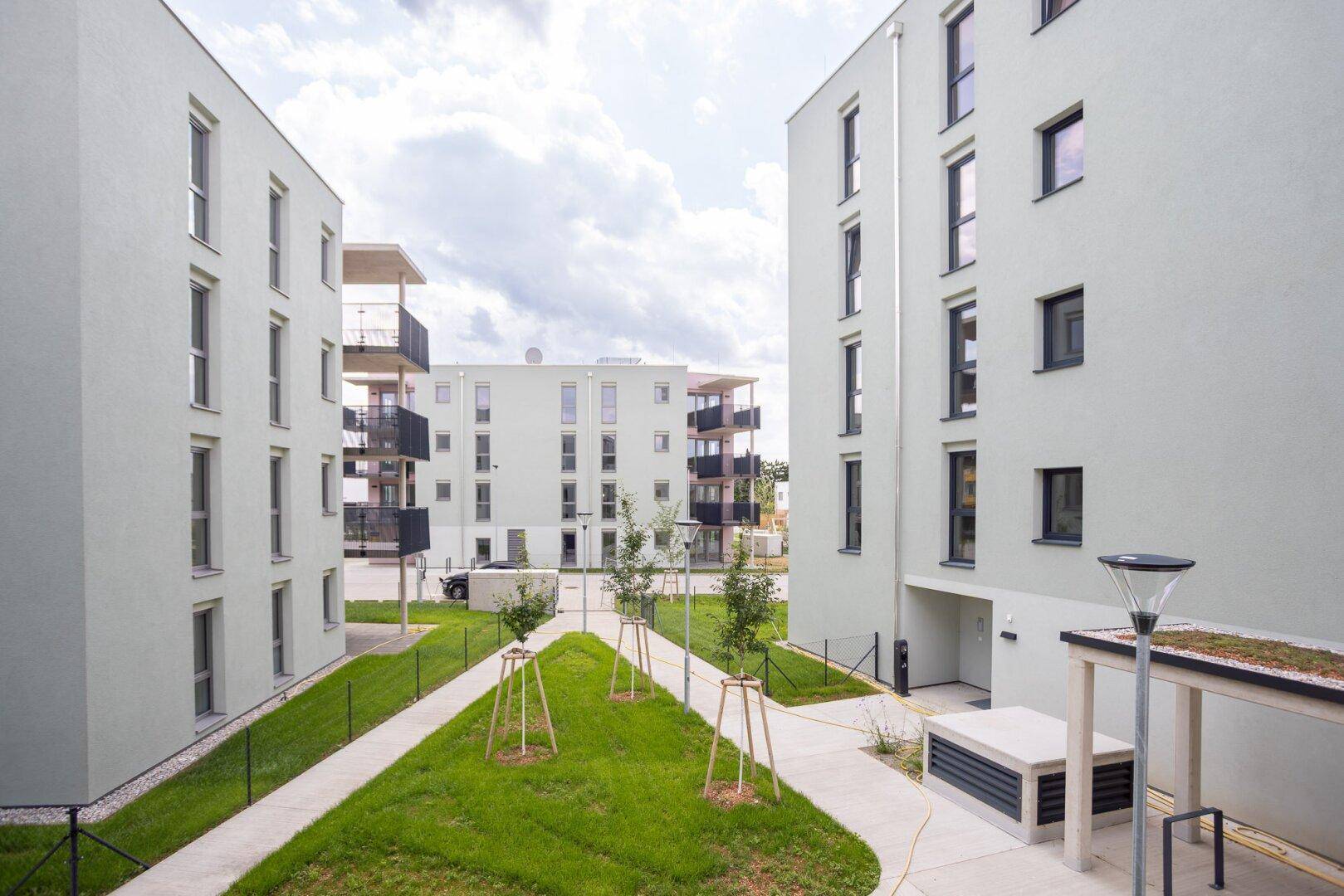 Moderne Wohngebäude mit grünen Außenanlagen und Gehwegen in einer Neubausiedlung.