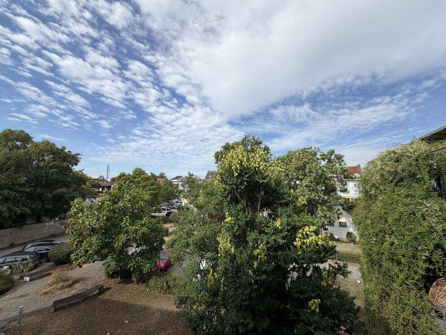 Weitblick über grüne Bäume und einen Parkplatz unter einem bewölkten Sommerhimmel.