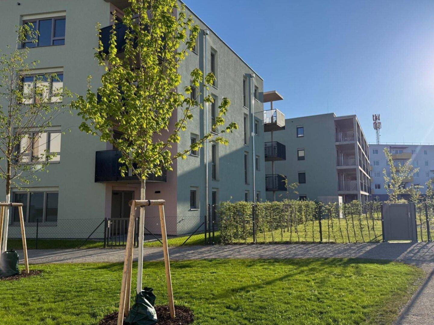 Modernes Wohngebäude mit Balkonen und jungen Bäumen in der sonnigen Außenanlage.