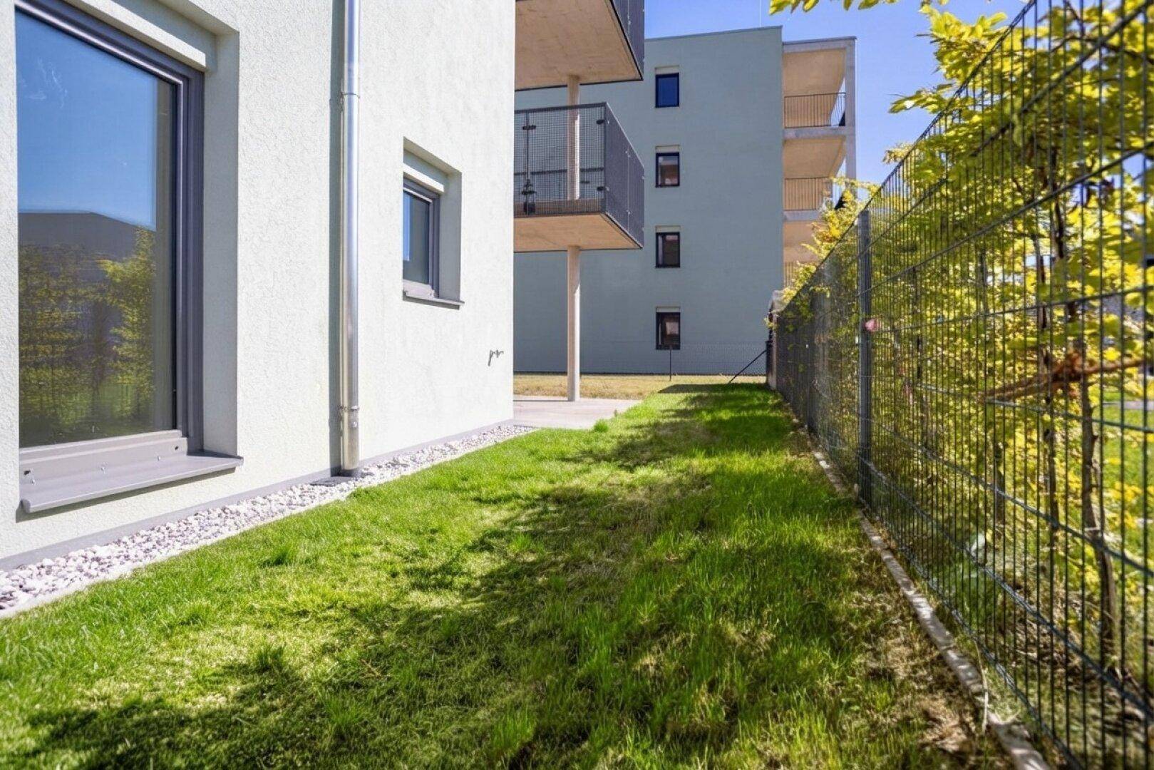 Schmaler Rasenstreifen entlang der Gebäudeseite mit Zaun und Hecke unter blauem Himmel.