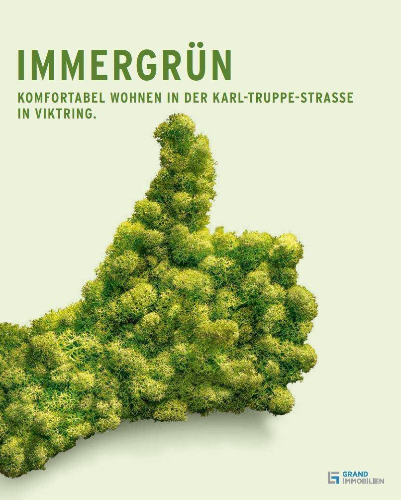 Immergrün