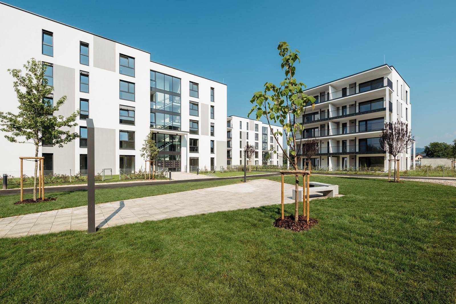 Moderne Wohngebäude mit weißer Fassade, großen Fenstern und gepflegten Grünflächen unter blauem Himmel.