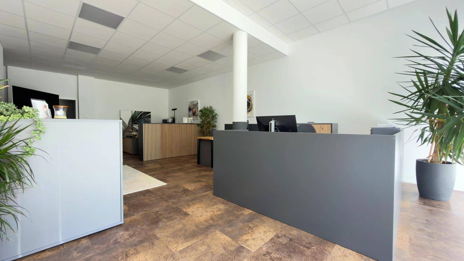 Weitläufiger Bürobereich mit Empfangstresen, Arbeitsplätzen und Pflanzen als Dekoration.