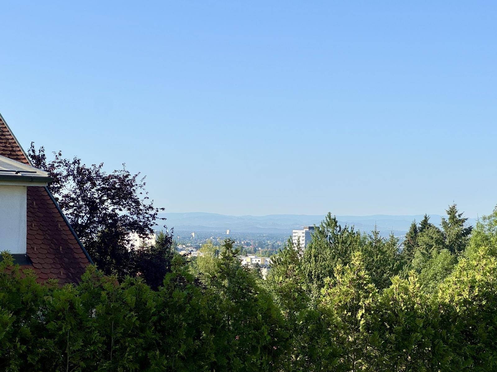 Weitblick über Baumwipfel auf eine Stadtlandschaft mit Bergen am Horizont unter klarem Himmel.