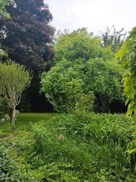 Gartenansicht_2