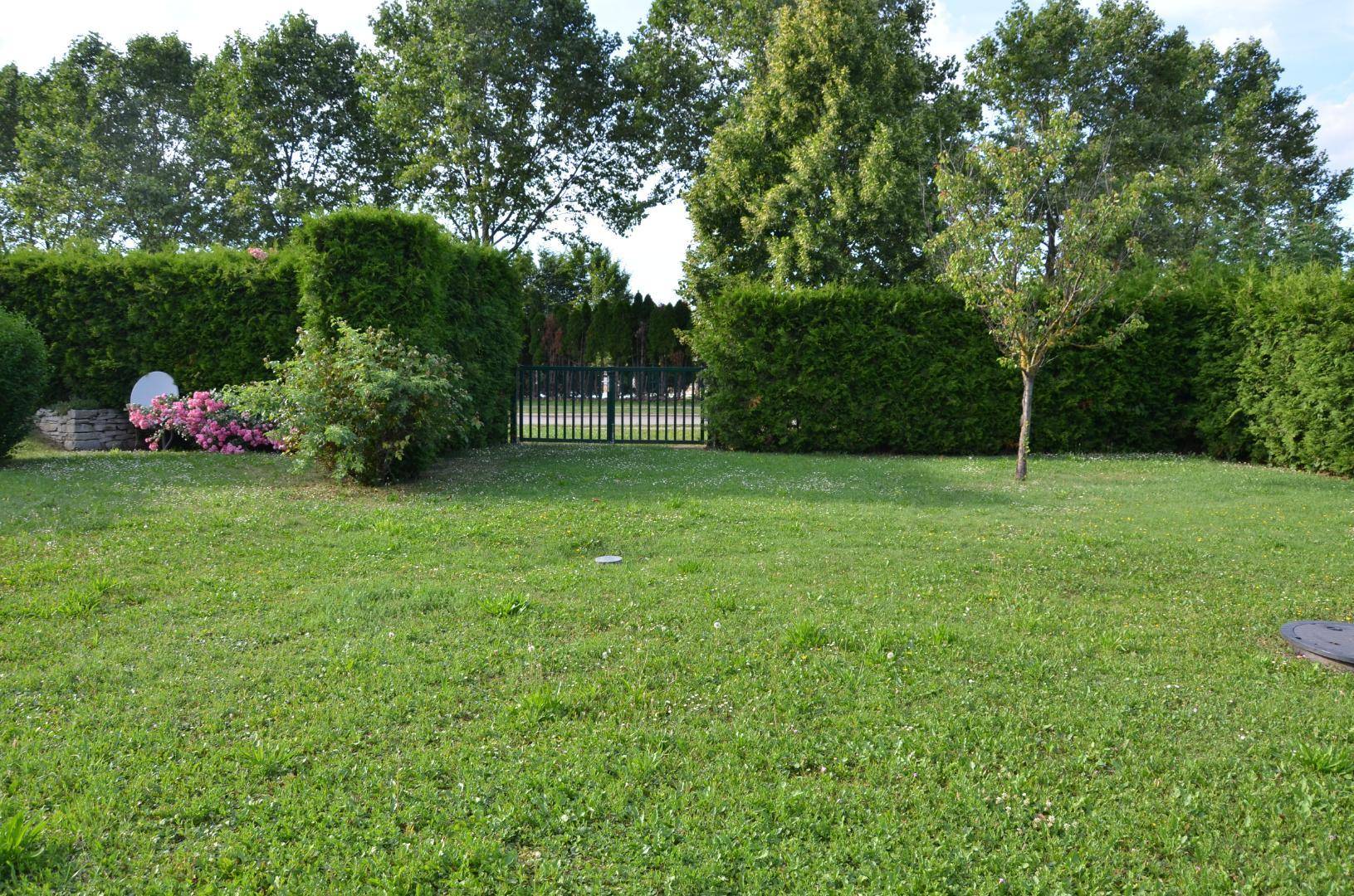 DSC_4500