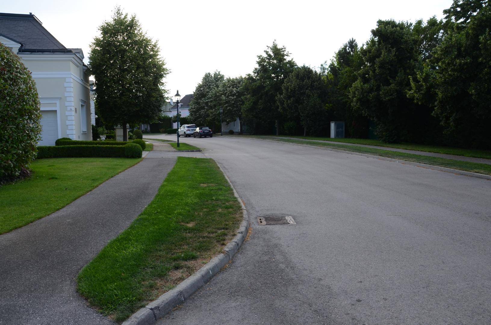 Breite Wohnstraße mit Bäumen und gepflegten Grünstreifen in einer ruhigen Umgebung.