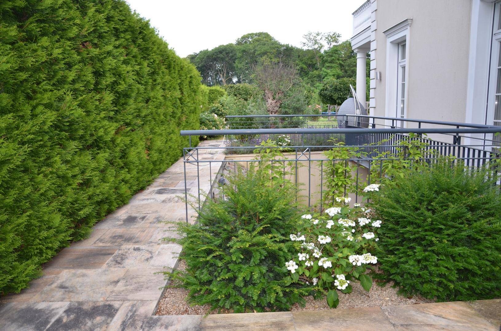 Gepflasterter Gartenweg entlang einer hohen Hecke mit üppiger Bepflanzung.