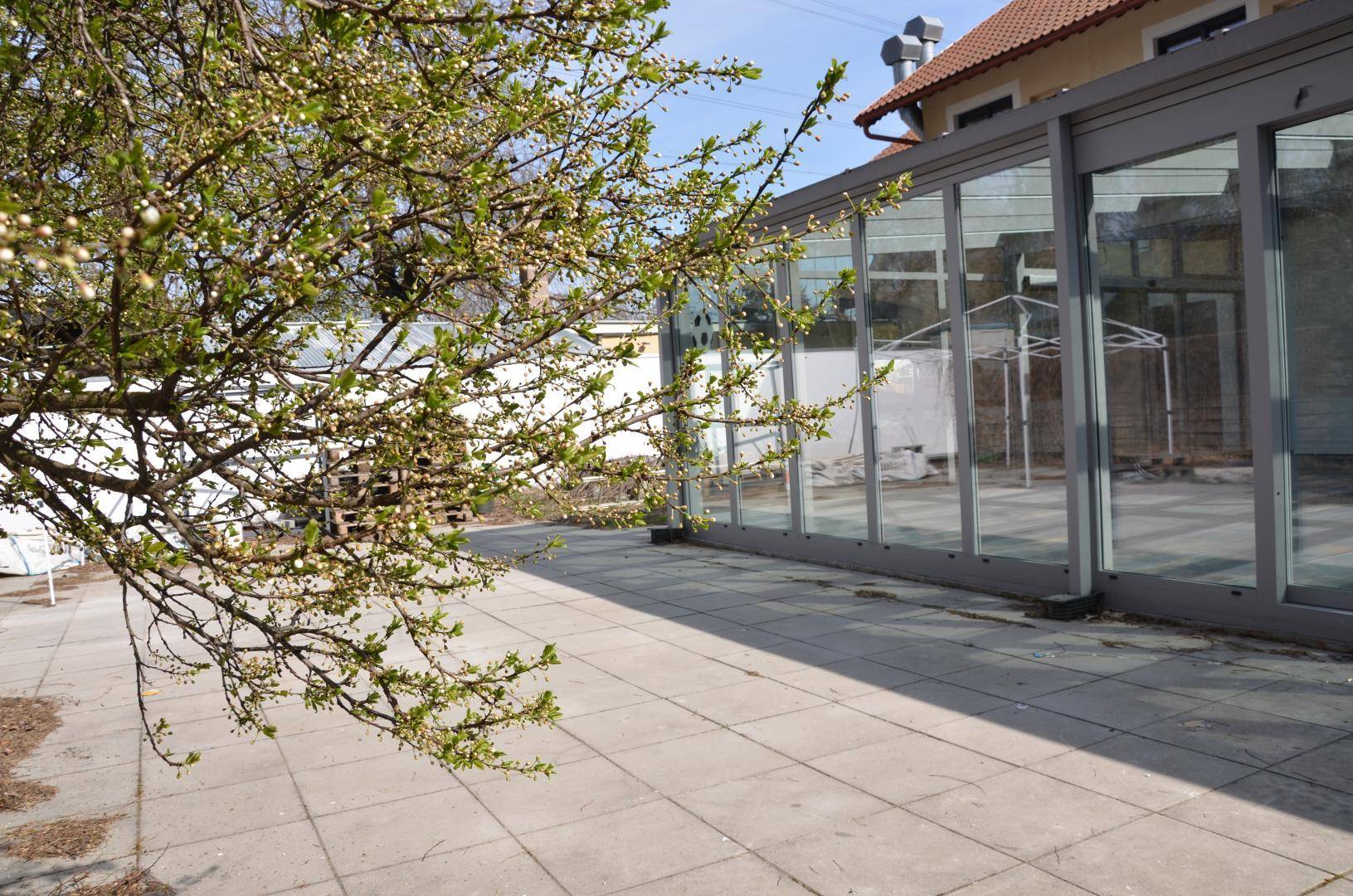 Gepflasterte Terrasse neben einem Gebäude mit großer Glasfassade und blühendem Baum im Vordergrund.