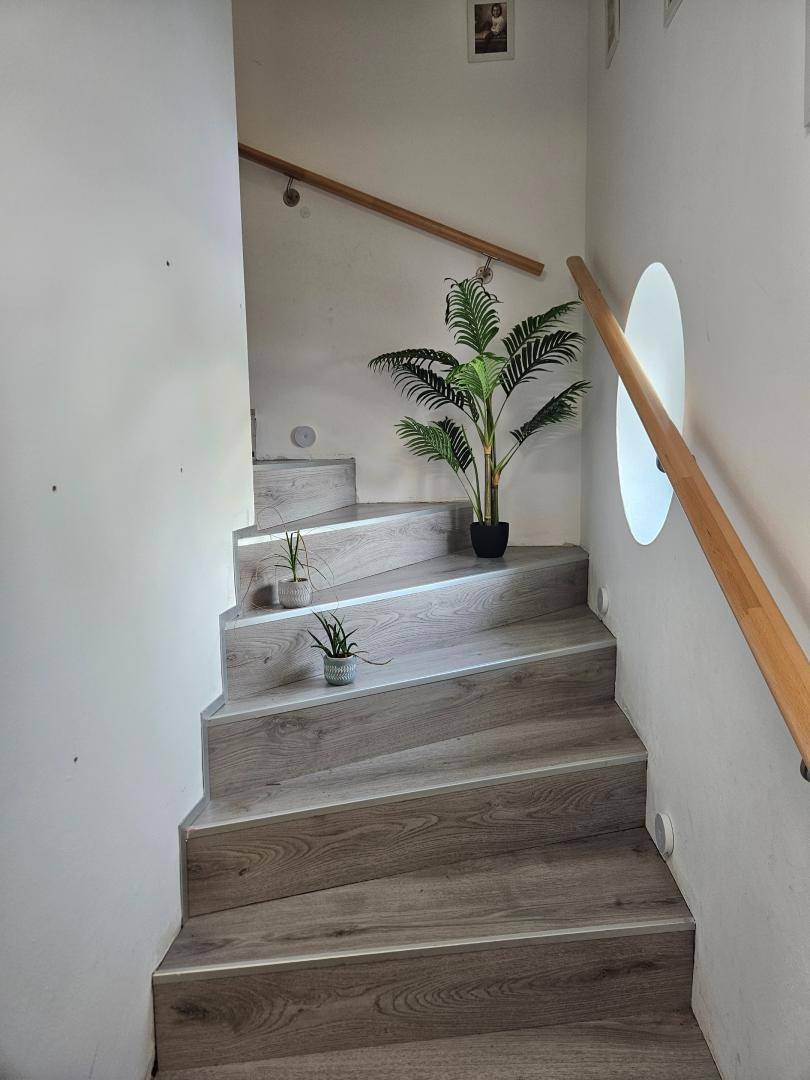 Helle Treppe mit Holzgeländer und modernen Pflanzen als Dekoration.