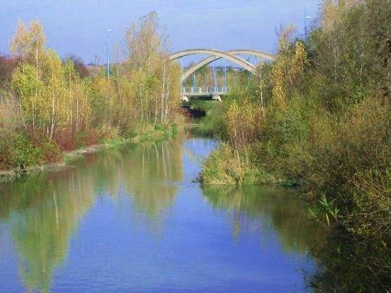 Ruhiger Flusslauf mit herbstlicher Ufervegetation und einer Bogenbrücke im Hintergrund.