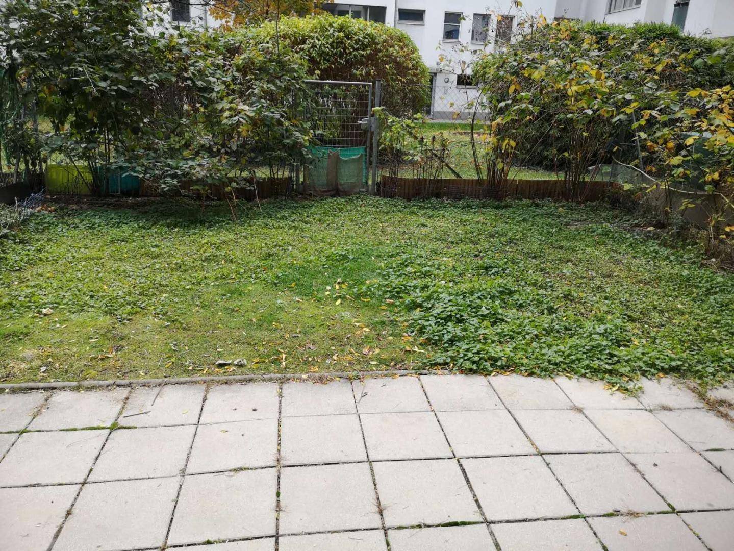 Grüner Gartenbereich mit gepflasterter Terrasse und üppiger Bepflanzung hinter dem Gebäude.