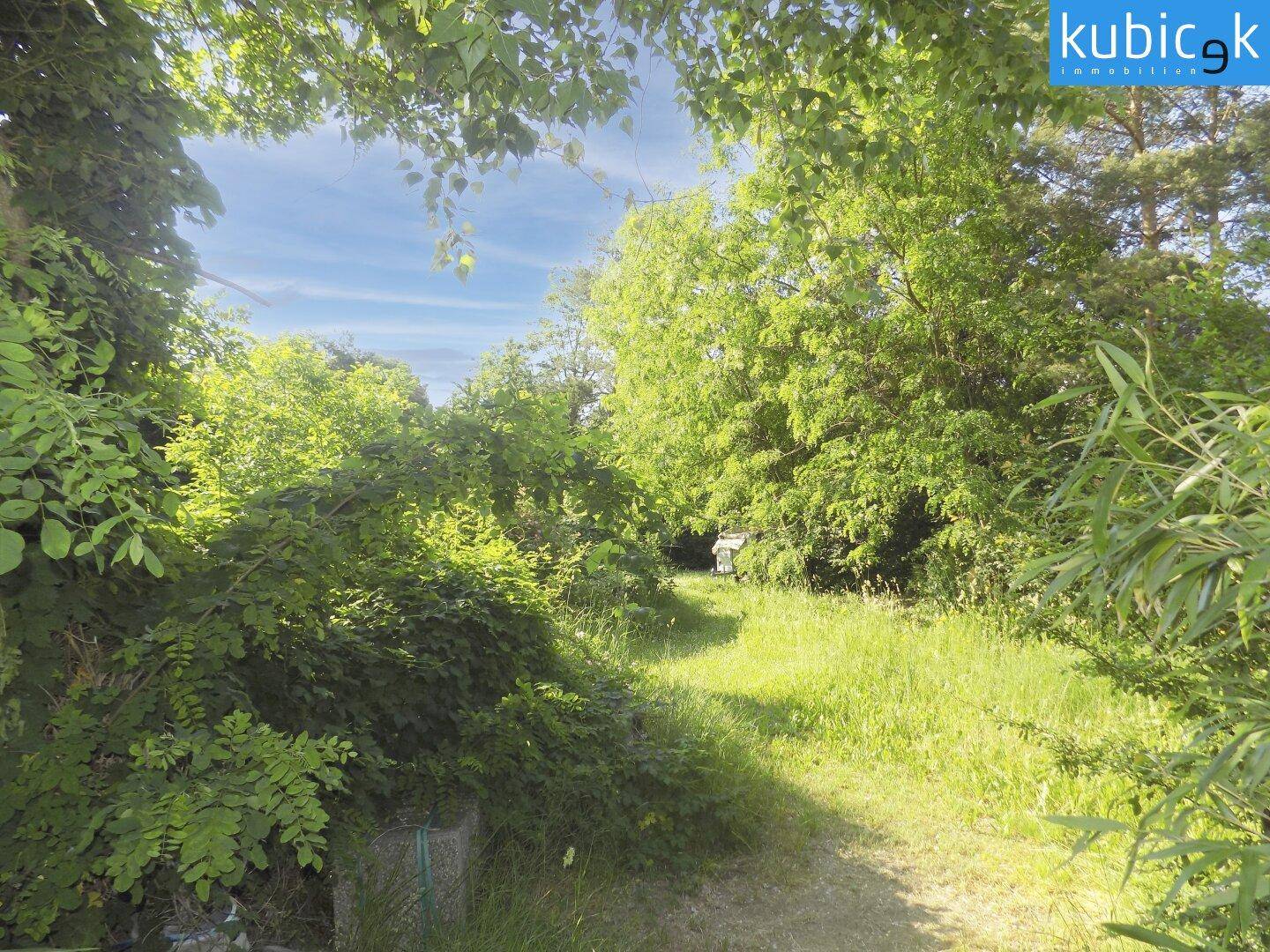Ein naturbelassenes Grundstück mit dichtem Bewuchs und einem sonnigen Pfad durch die grüne Landschaft.