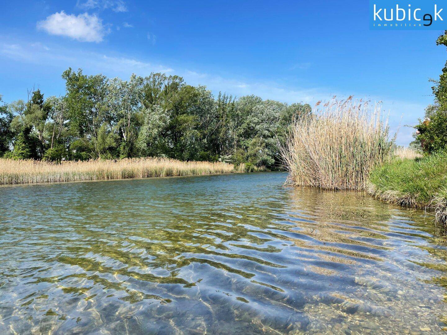 Mühlwasser in Gehweite