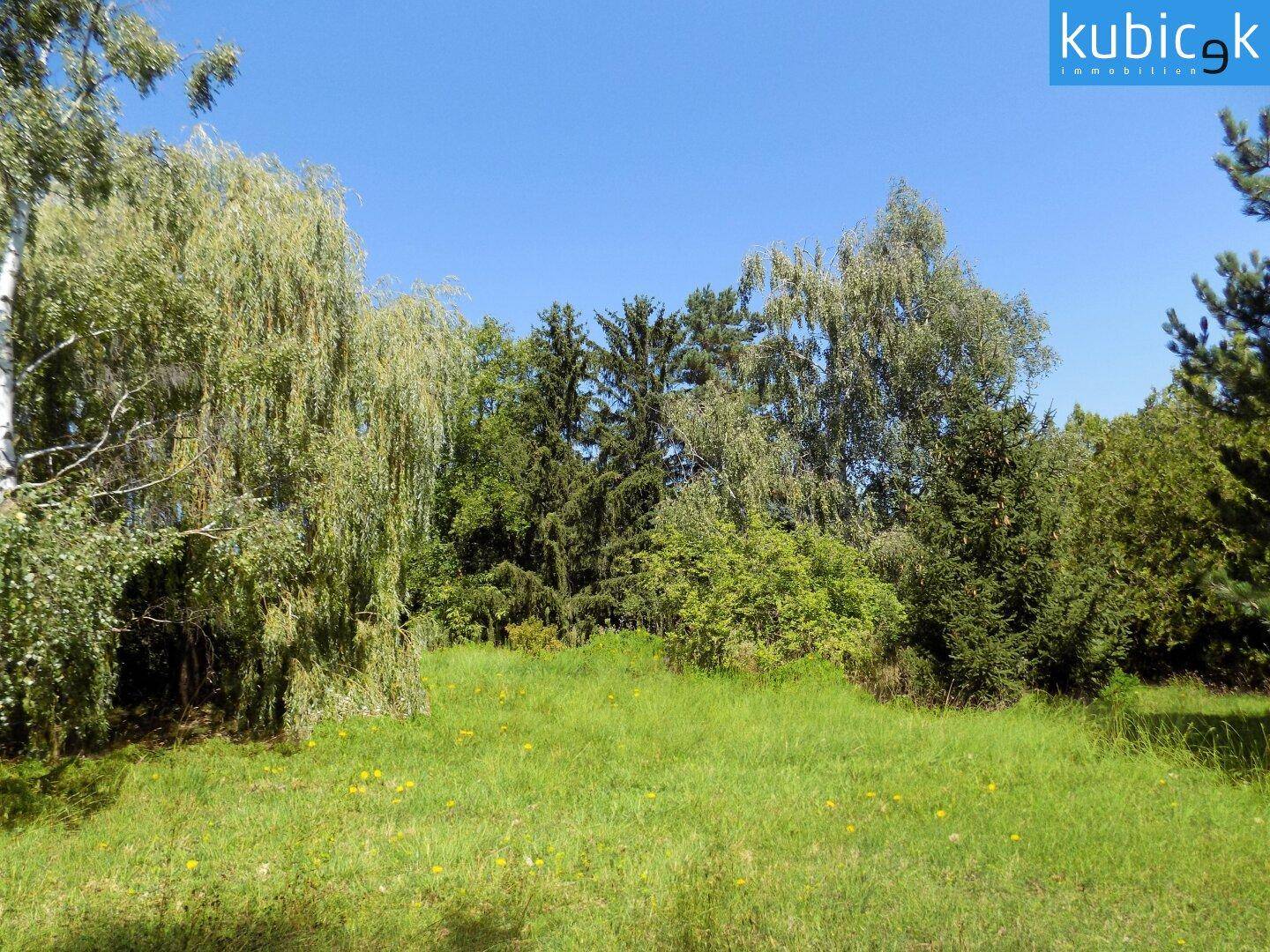 Sonnige Westausrichtung für Ihren zukünftigen Wohntraum - Ansicht 2