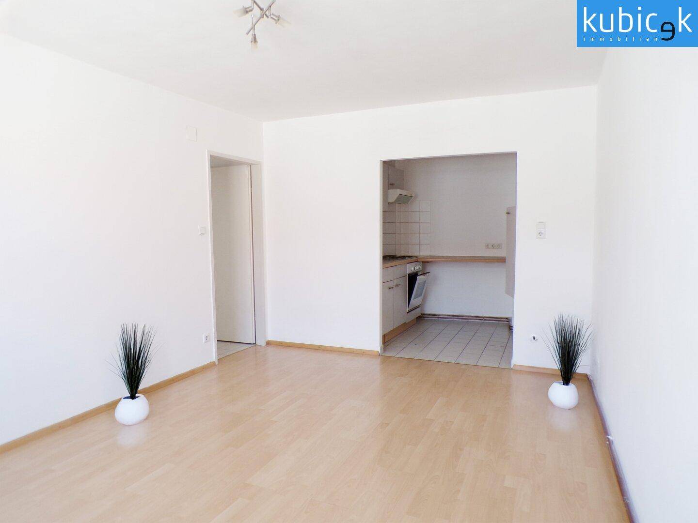 Wohnküche mit Blick in die Kochnische