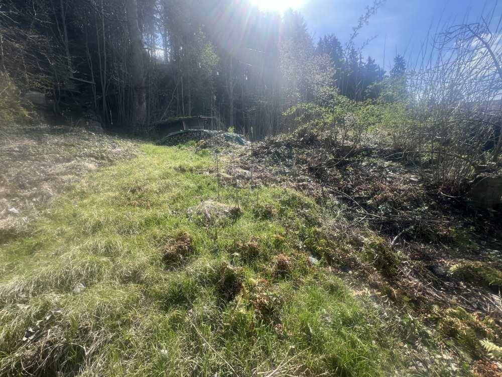Baugrund
