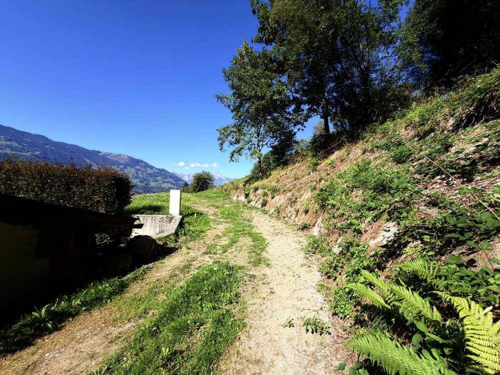 Unbefestigter Weg führt bergauf durch grüne Natur mit Blick auf die entfernten Berge.