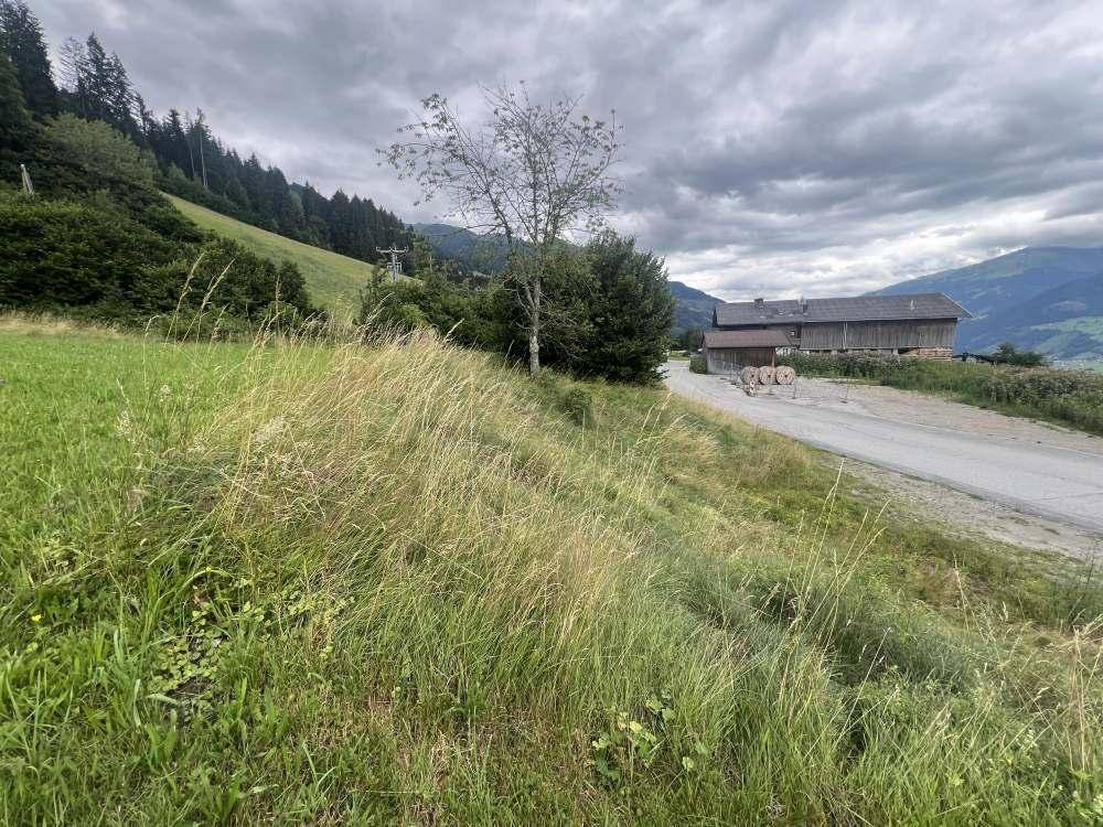 Baugrund