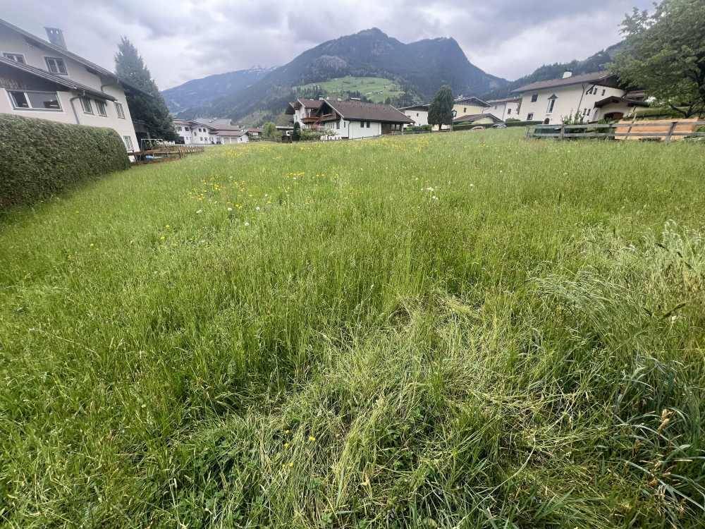 Baugrund südseitig