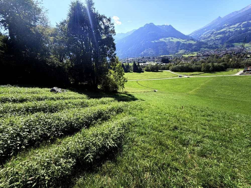Weitläufige grüne Landschaft mit Feldern und Blick auf das Tal und die umliegenden Berge.