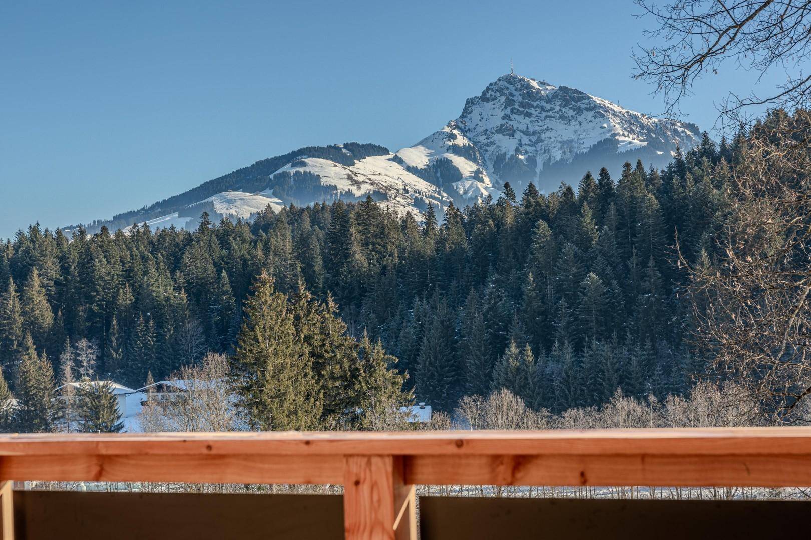 Kitzbüheler Horn Blick