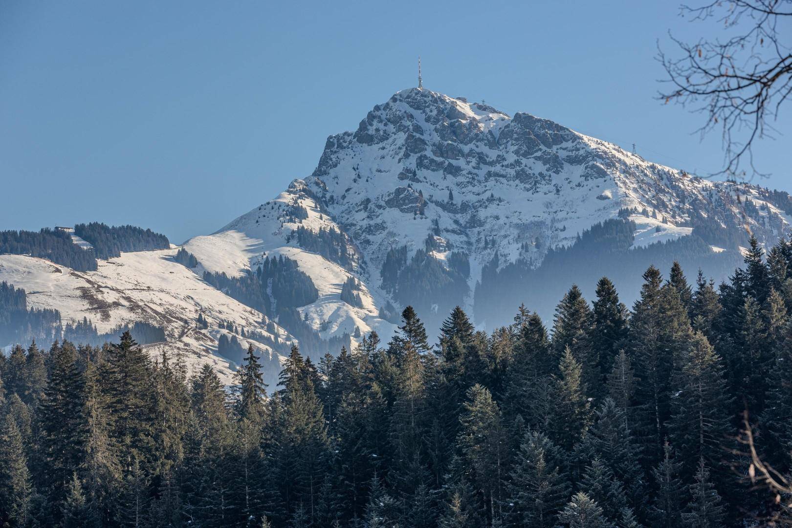 Kitzbüheler Horn Blick