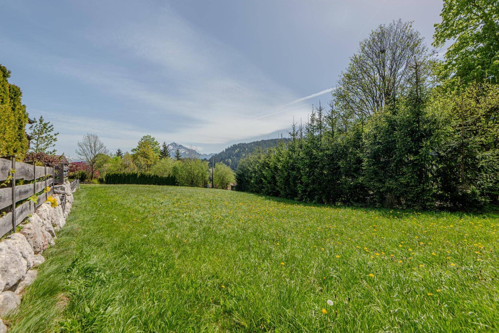 Weitläufige grüne Wiese mit einem Steinwall und Bäumen, die eine ruhige ländliche Umgebung bilden.