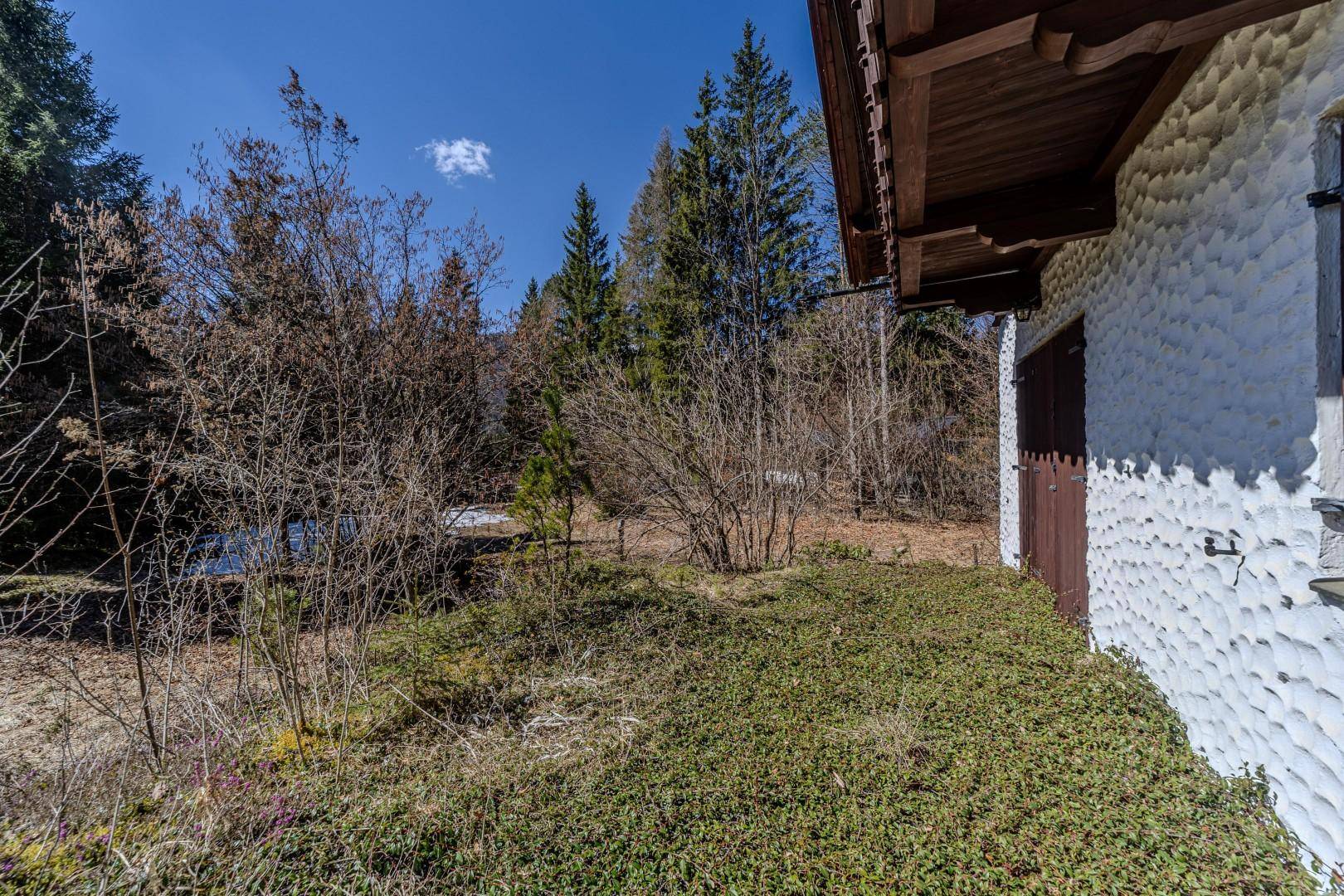Grünfläche neben dem Haus mit Blick auf die bewaldete Umgebung.