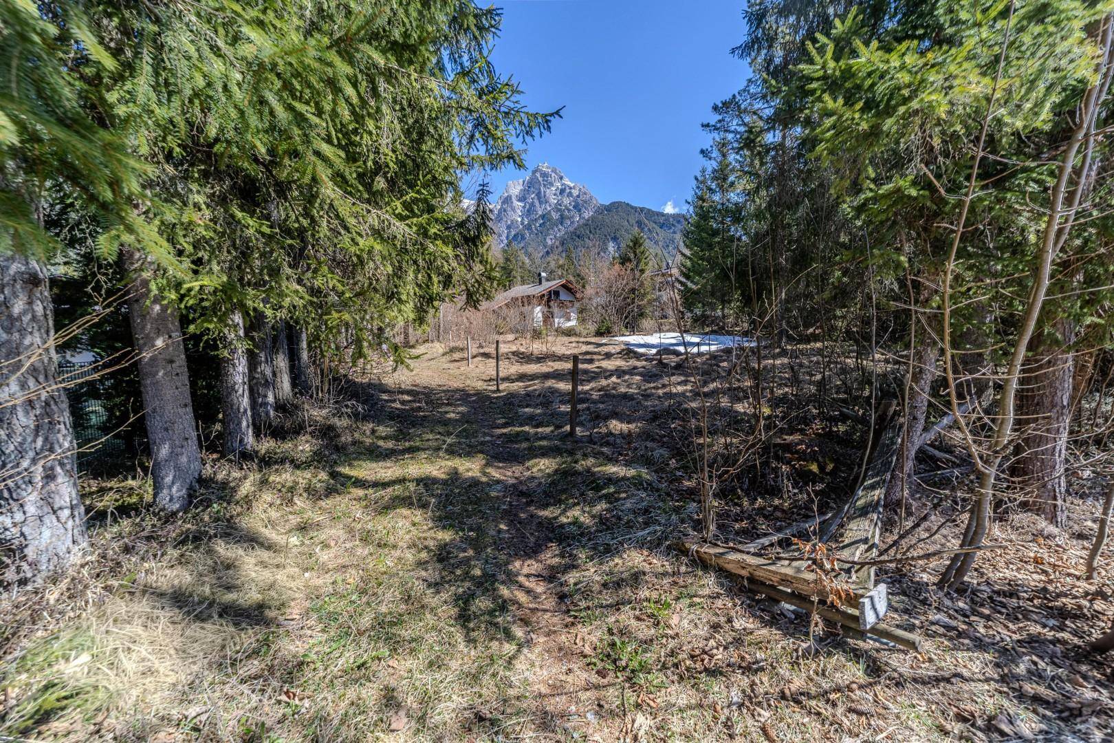 Waldweg führt zum Haus mit Bergblick im Hintergrund, umgeben von hohen Bäumen.