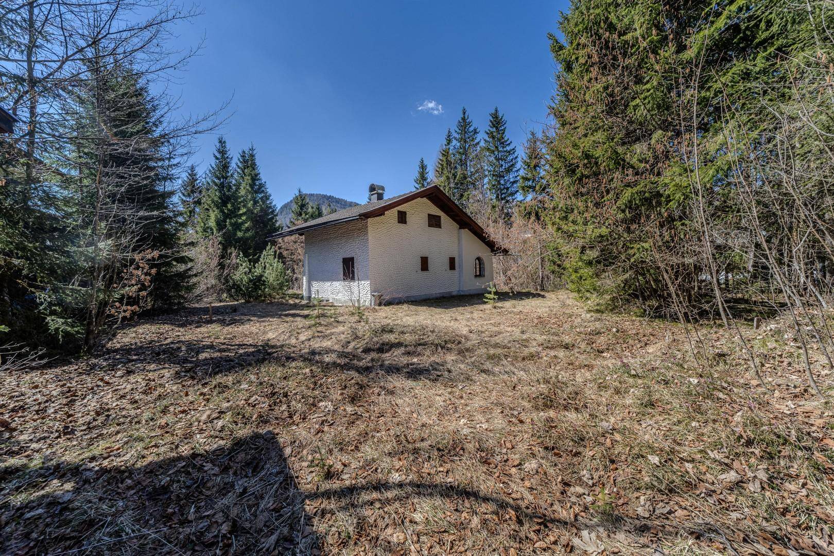 Rückansicht des Chalets, eingebettet in eine grüne Landschaft mit hohen Bäumen und Bergsicht.