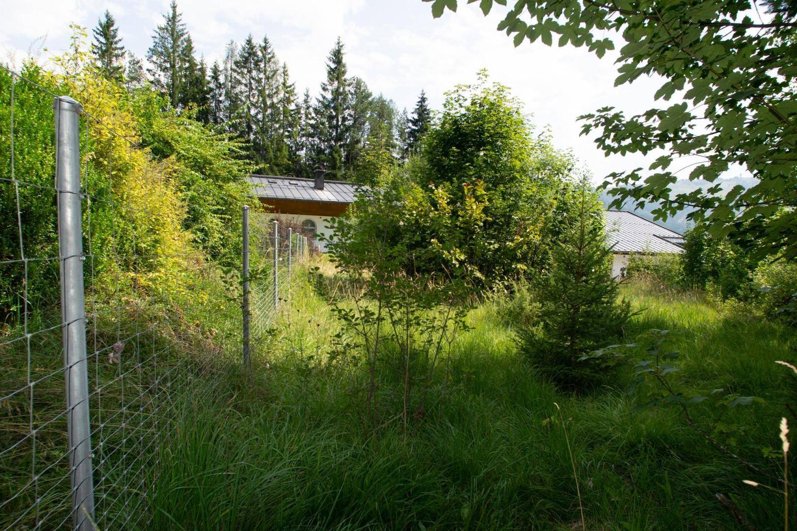 Verwilderte Grünfläche mit Drahtzaun im Vordergrund und einem Haus, umgeben von Bäumen.