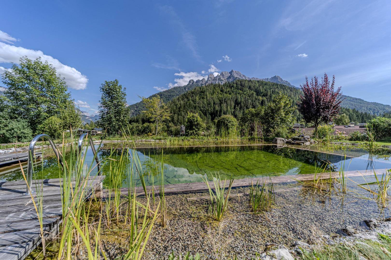 Idyllischer Naturteich mit Holzsteg und Bergblick unter blauem Himmel.