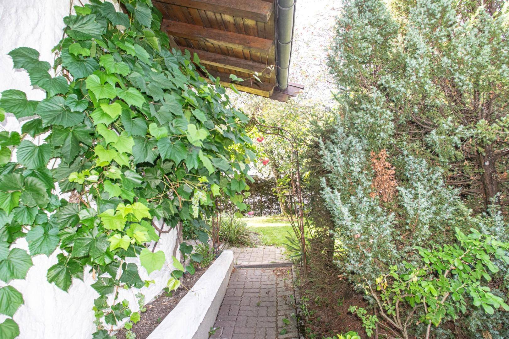 Seitlicher Zugang zum Garten mit bewachsenen Wänden und grünen Sträuchern.