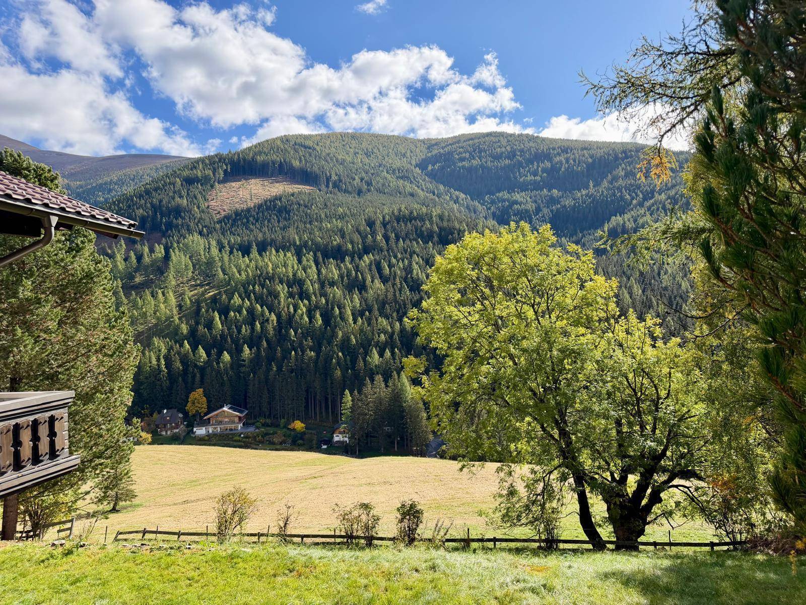 Idyllischer Ausblick auf bewaldete Berghänge und ein sonniges Tal mit vereinzelten Häusern.