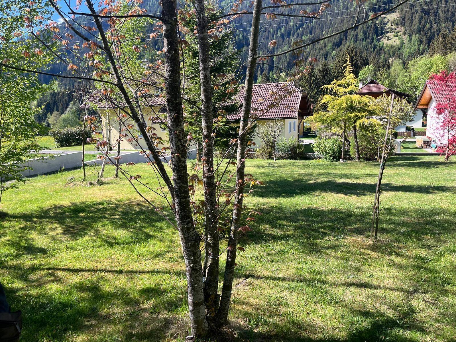Großer, gepflegter Garten mit jungen Bäumen und Blick auf die Nachbarhäuser und Berge.