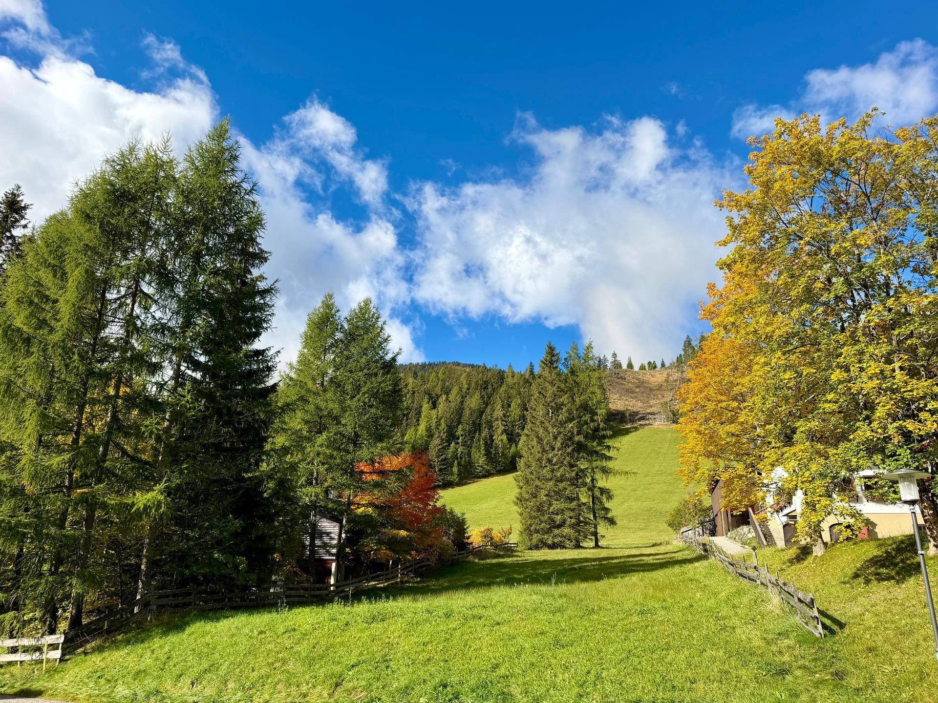 Sonnige Landschaft mit einer großen grünen Wiese, hohen Bäumen und einem weiten Blick auf die Umgebung.