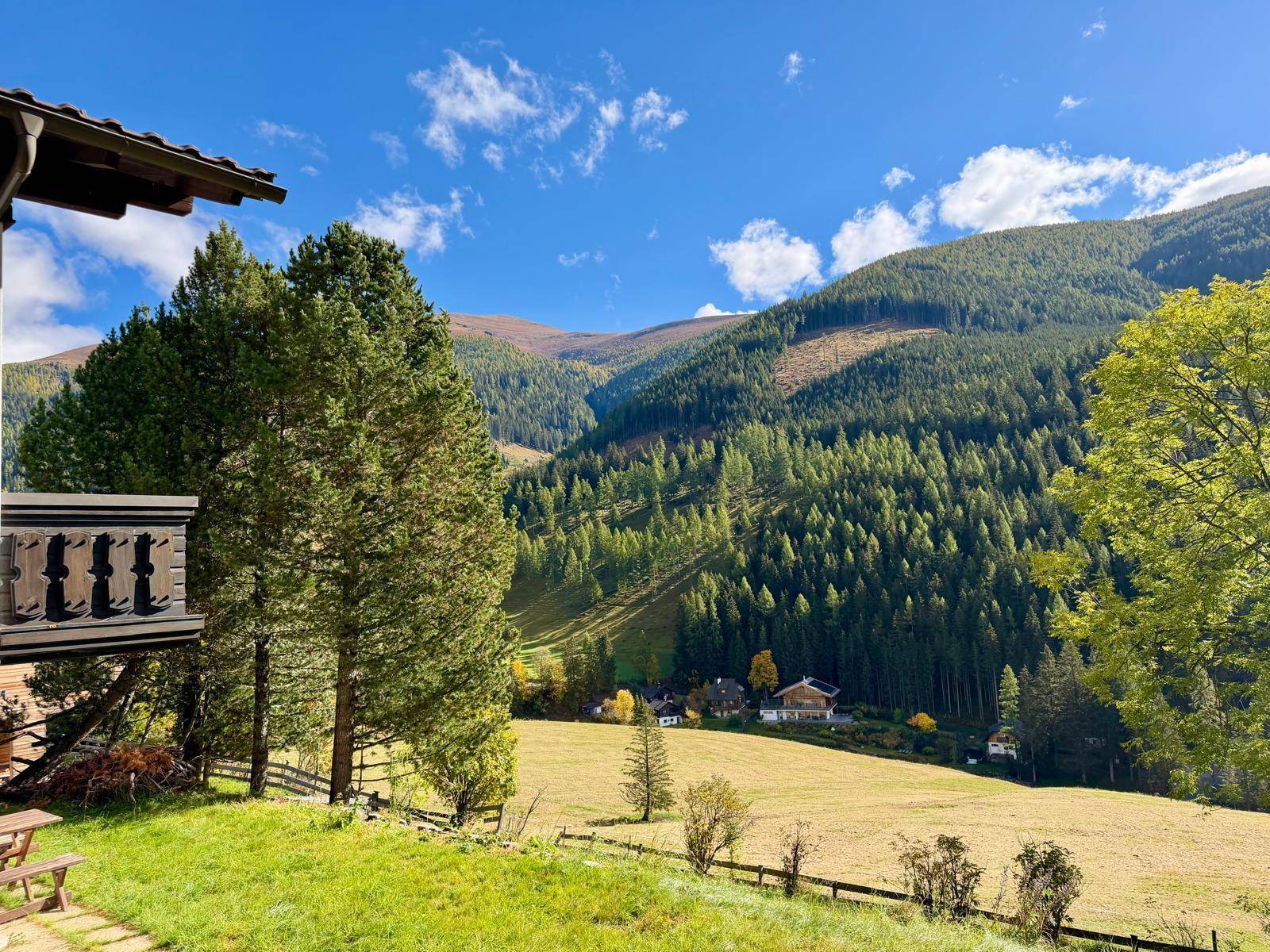 Weitläufiger Blick über grüne Wiesen und dichte Wälder auf die umliegenden Berge unter blauem Himmel.