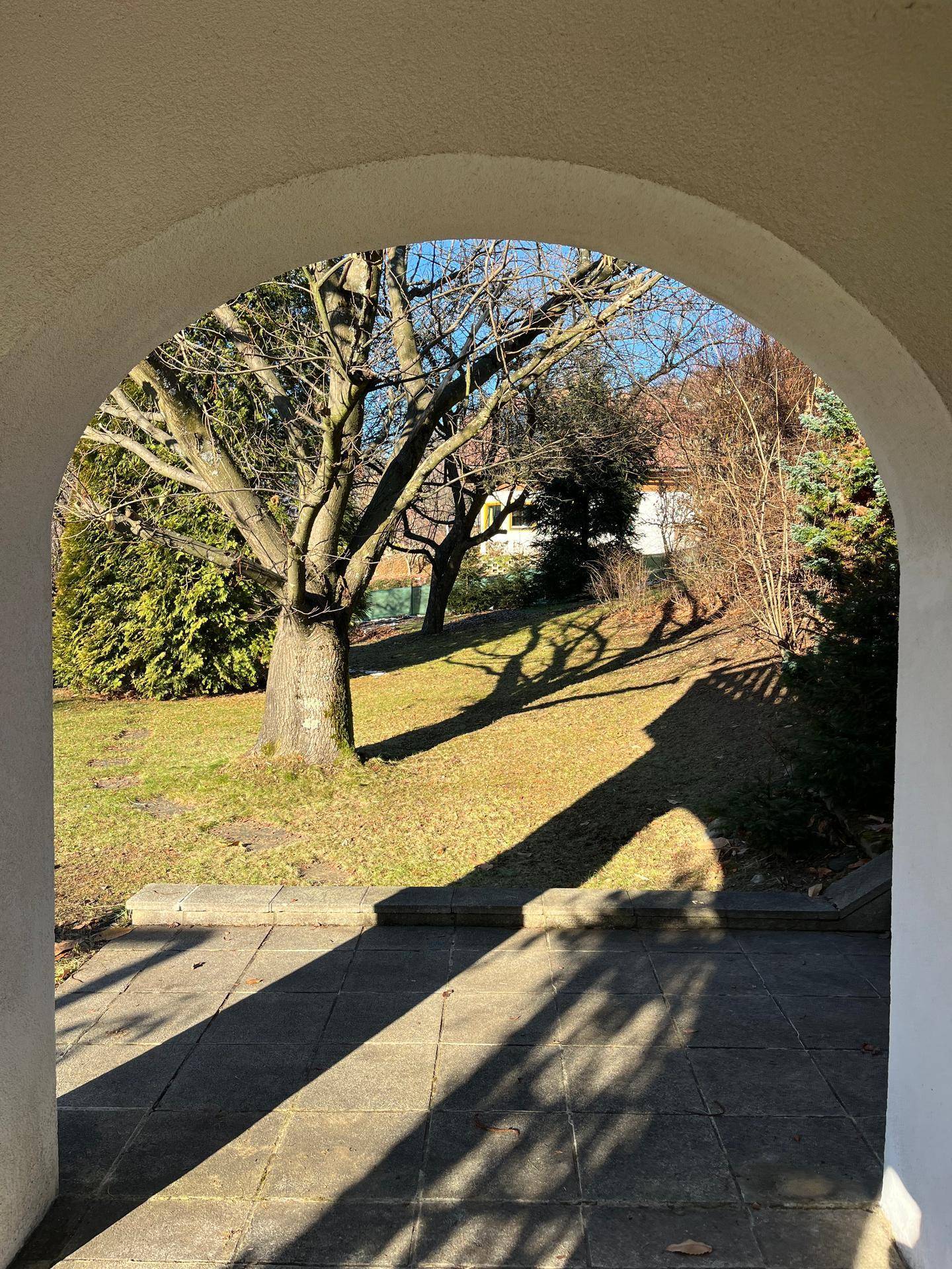 Sonniger Blick durch einen Torbogen auf einen Garten mit altem Baum und gepflastertem Bereich.