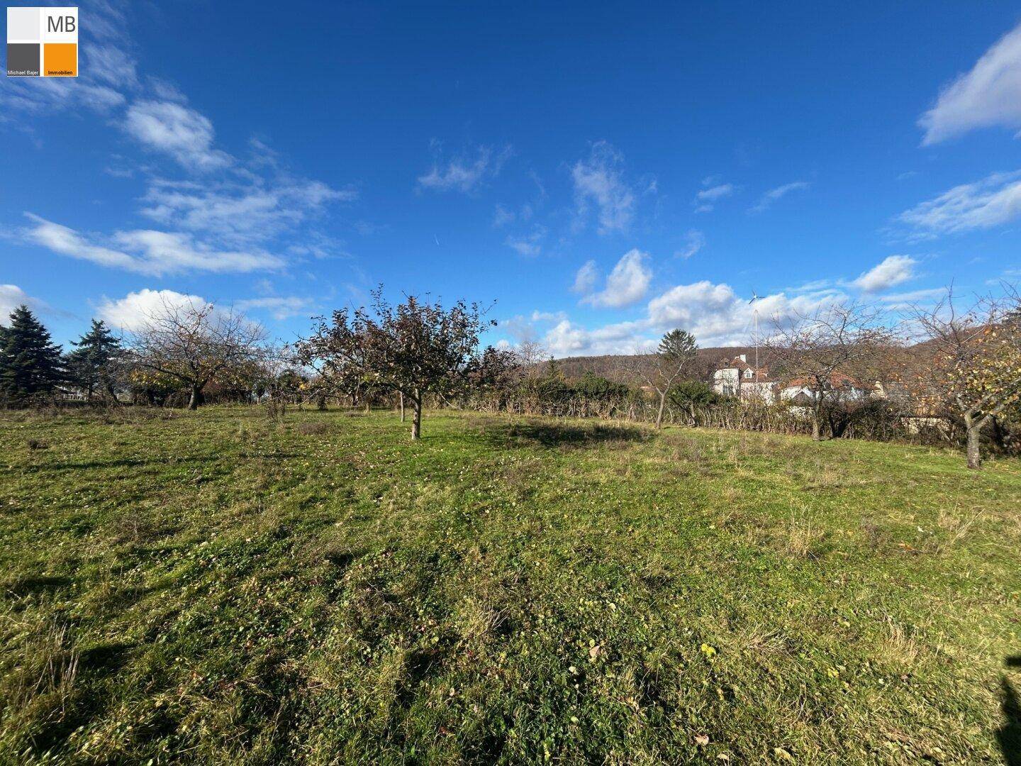 Sonniges Grundstück mit weitläufiger Rasenfläche, Obstbäumen und Blick auf die Nachbarschaft.