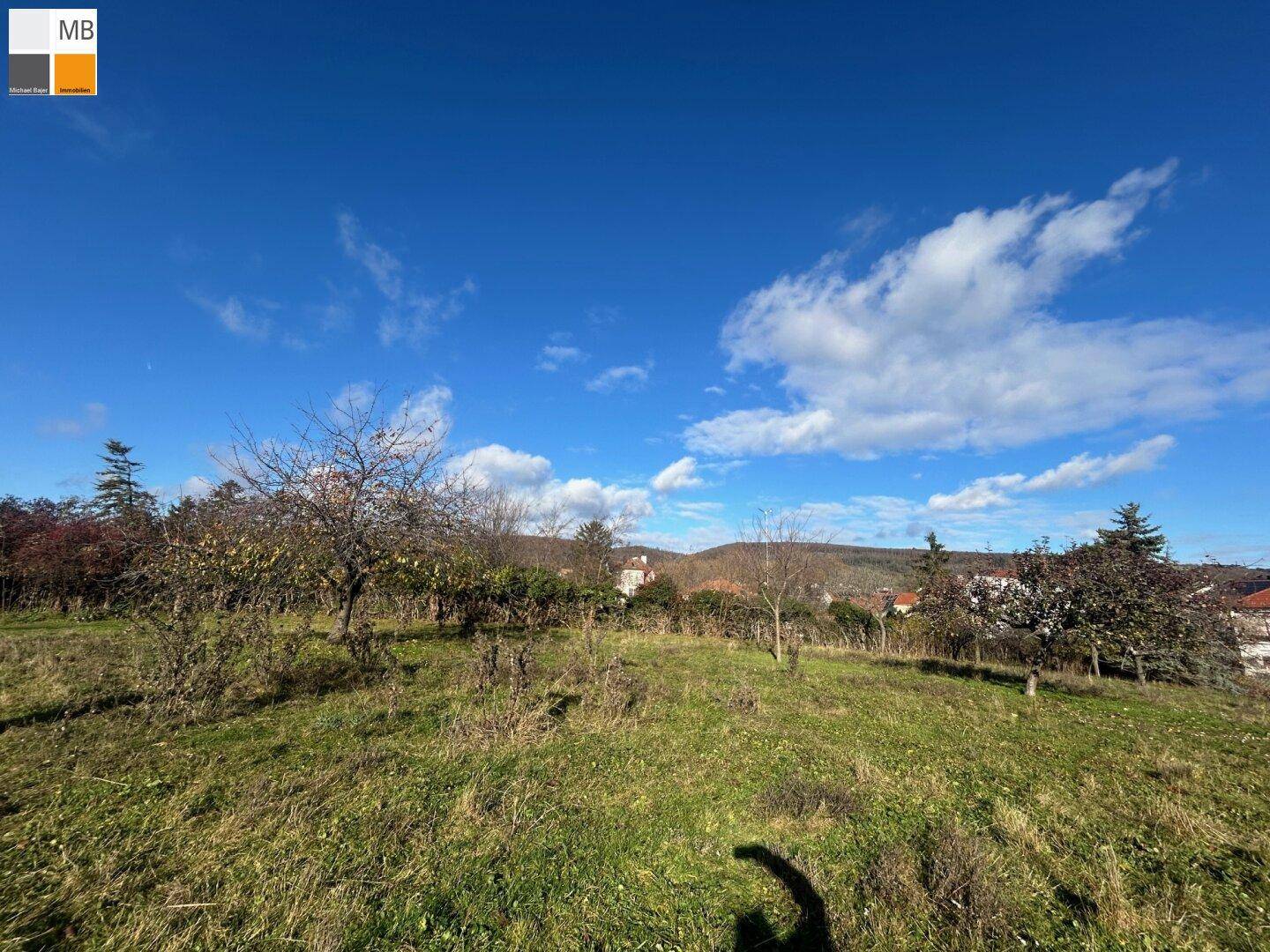 Offenes Grundstück mit grüner Wiese, vereinzelten Bäumen und weitem Blick in die Landschaft.